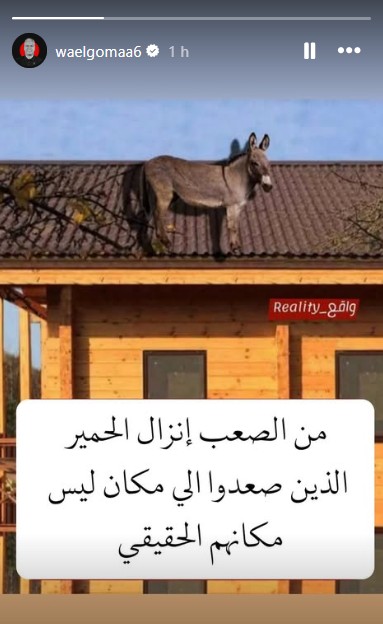 وائل جمعة عبر إنستجرام